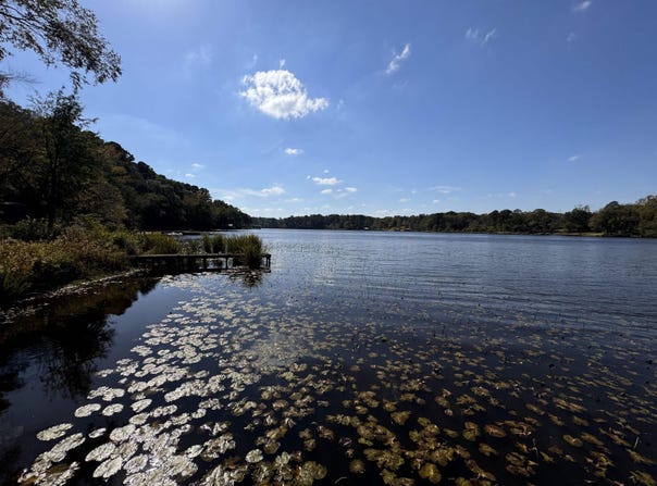 3088 E Lake Dr, Gladewater, TX 75645