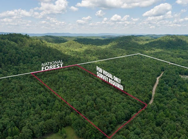 Tbd Ryan Rd, Oden, AR 71961