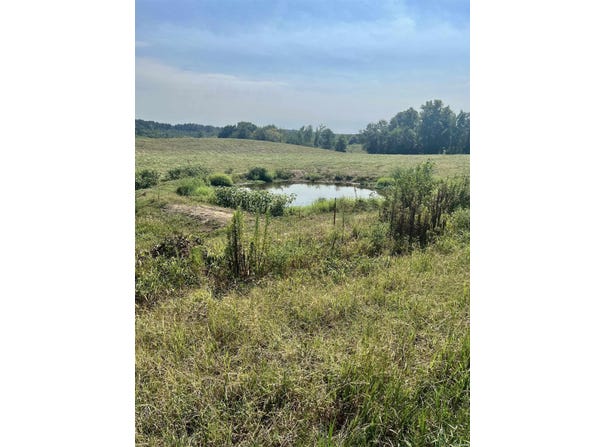 W HWY 84, Umpire, AR 71971