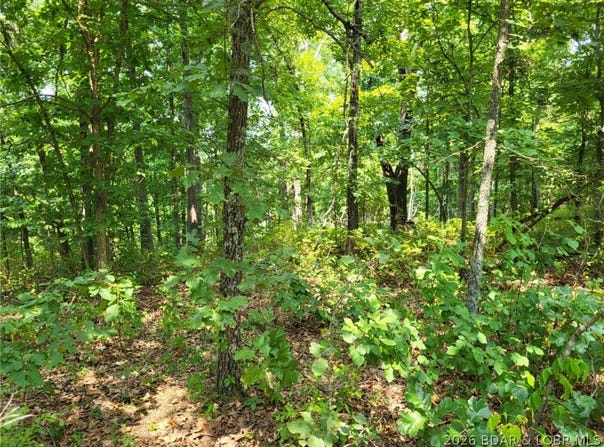 Lee Drive, Edwards, MO 65326