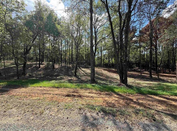 288 Co Rd 1123, Vinemont, AL 35179