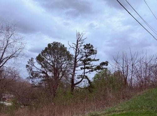 McFadden Drive lot: 40, Corbin, KY 40701