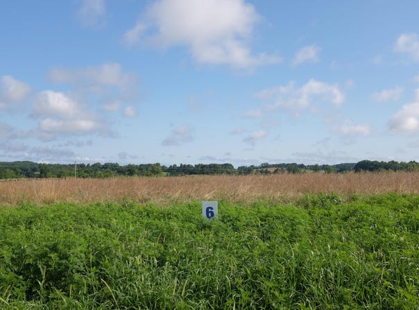 95 Squirrel Path lot: 6, East Bernstadt, KY 40729