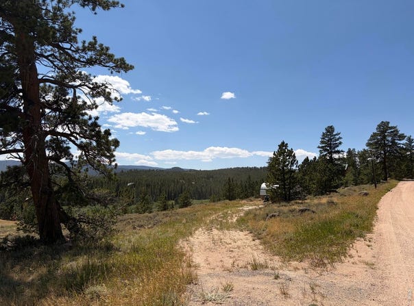 339 Swift Deer Rd, Red Feather Lakes, CO 80545