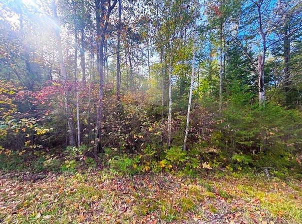 Northland Heights Drive lot: 181, Presque Isle, MI 49777