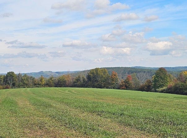 Learn Road, Rathbone, NY 14820