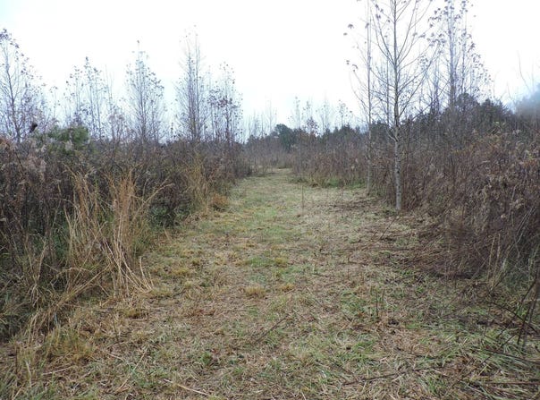 OFF HWY 378, Waldron, AR 72958