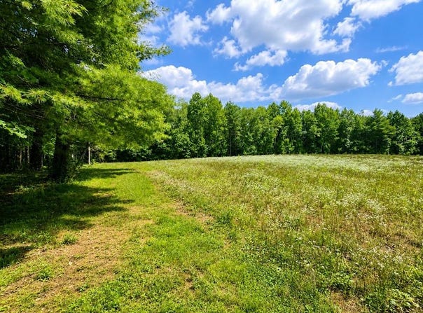 Link Rd lot: 0, Galax, VA 24333