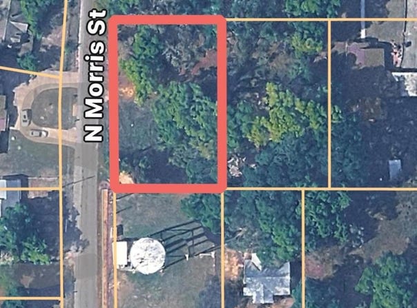 Morris Street, Geneva, AL 36340