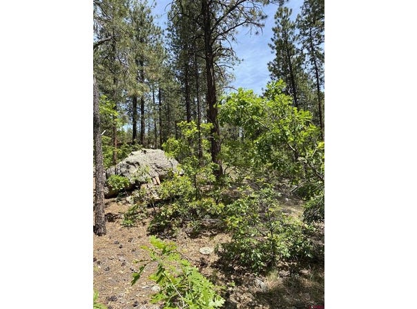163 BOULDER VIEW Drive, Durango, CO 81301