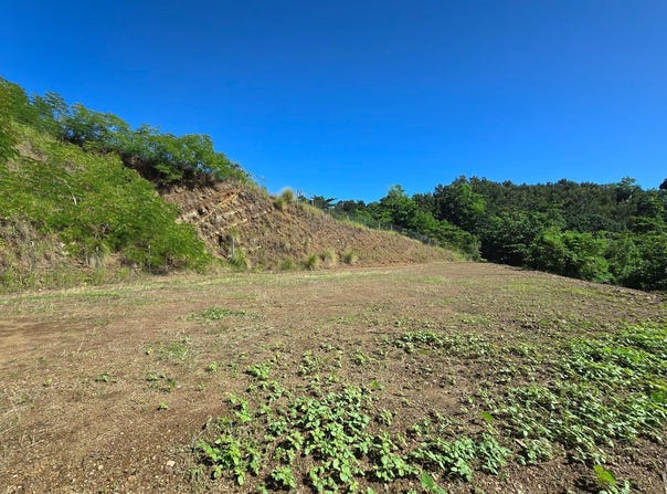 Rincon, Rincon, PR 00677