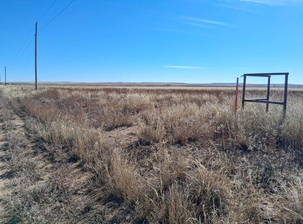 Avondale, CO 81022