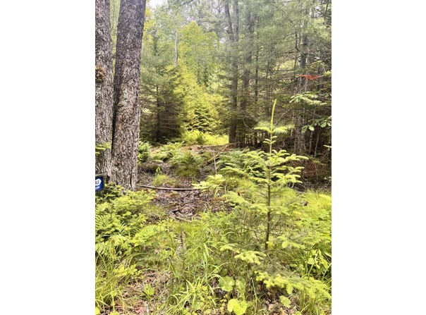 22A Pierce Pond Road, Penobscot, ME 04476