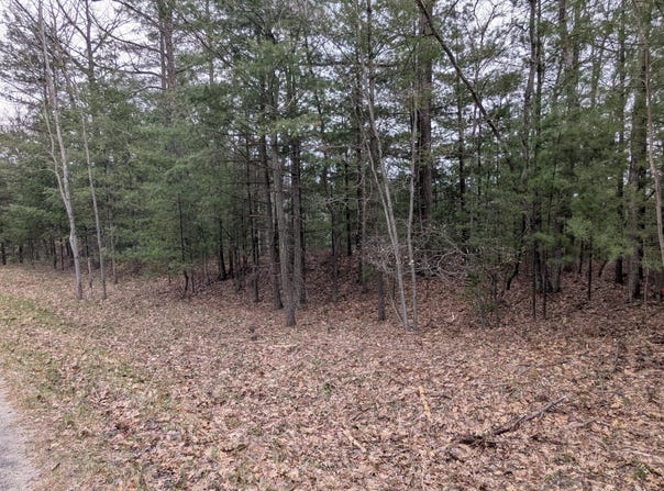V/L 0 W Crooked Lake Rd, Lake City, MI 49651