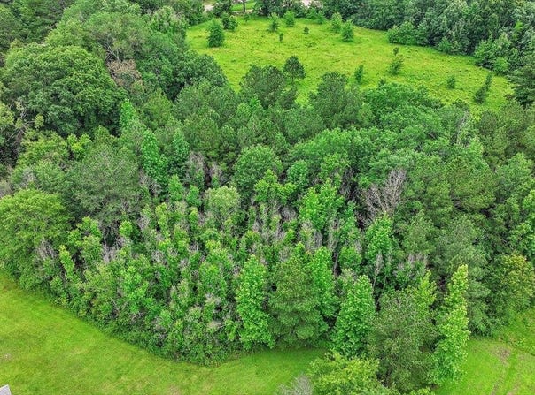 Hwy 13, Mendenhall, MS 39114