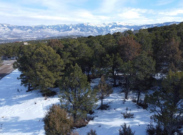 30 Pinon Road W, Ridgway, CO 81432