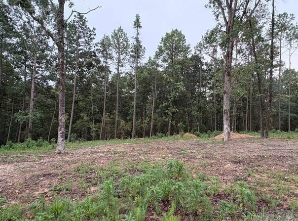 90 Parker Creek Road, Murfreesboro, AR 71958