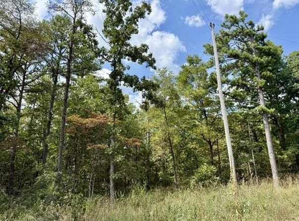 Texas Tower Road, Licking, MO 65542