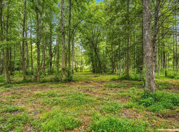 Mcinturff Springs Road, Erwin, TN 37650