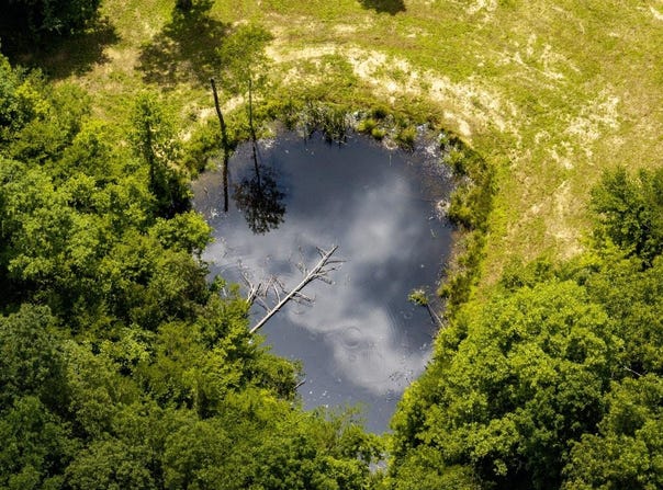 1990 State Highway 556, Sandy Hook, KY 41171