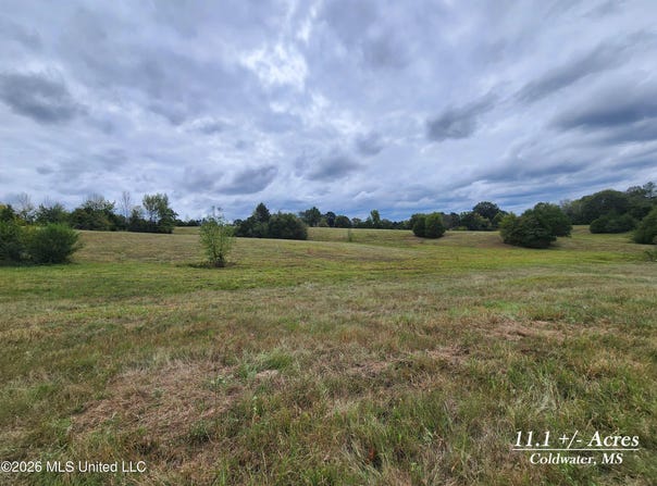 11.1 Bub Jamison Road, Coldwater, MS 38618