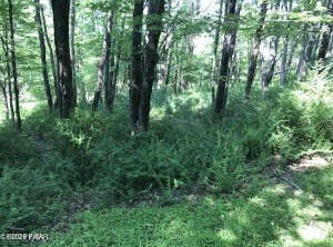 111 Koch Road, Tafton, PA 18464