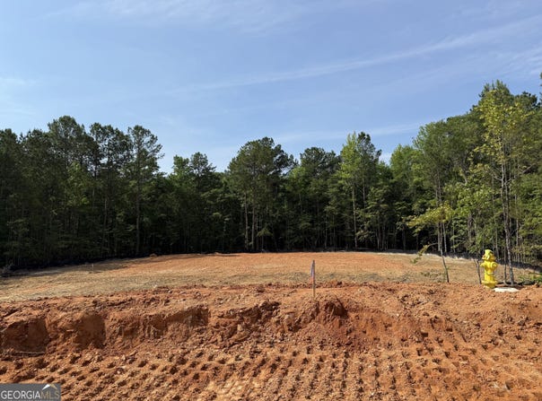 High Pointe lot: 10, Lagrange, GA 30241