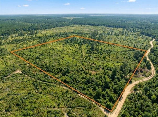 Hempstead 335, Nashville, AR 71852