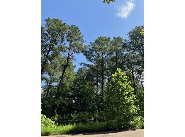 49 Blue Maple Trail, Broken Bow, OK 74728