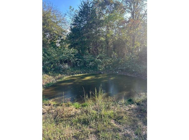N Highway, Mountain Grove, MO 65711
