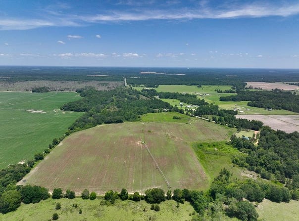 0080012 Old Lucile Rd, Blakely, GA 39823