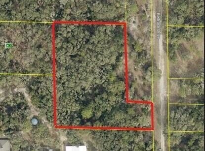 Bedrock Drive, Webster, FL 33597