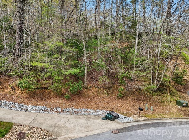 Deerlake Drive lot: 61, Brevard, NC 28712