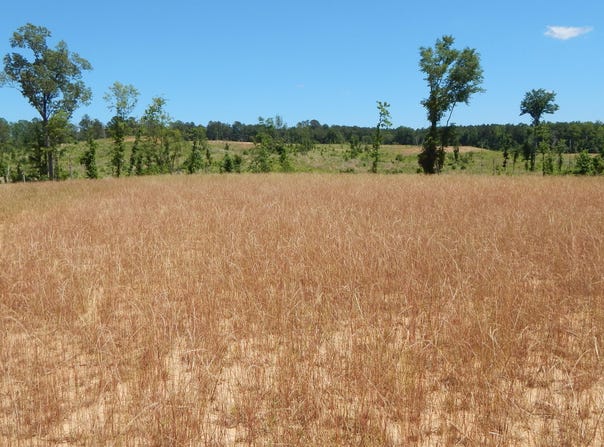 207 Hugh White State Park Road lot: 7, Grenada, MS 38901