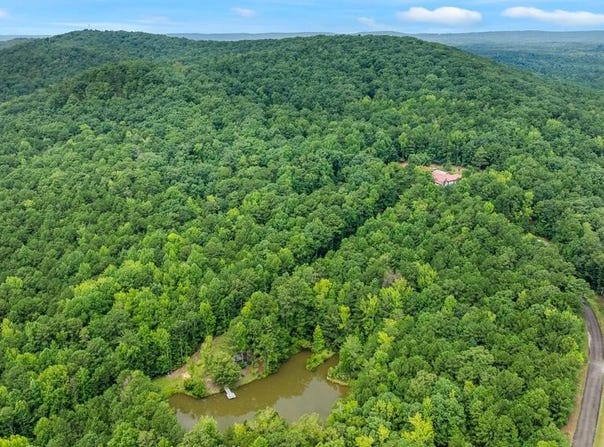 Johnson Mill Road, Hamilton, GA 31811