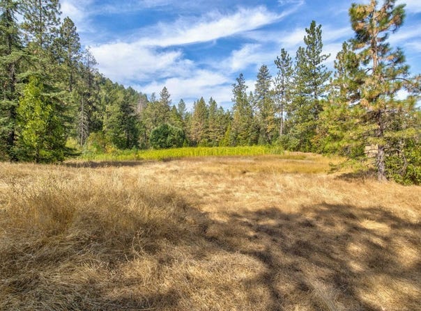 26835 State Highway 88, Pioneer, CA 95666