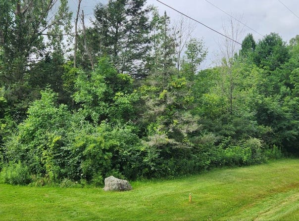 E Herrick Rd, Clare, MI 48617