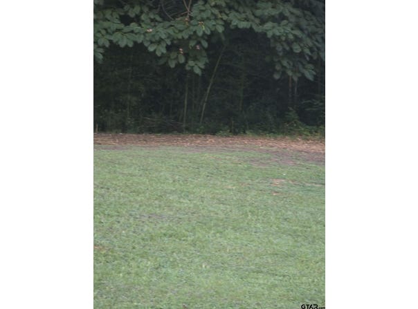 W Highway 49, Daingerfield, TX 75638