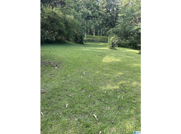 1430 ECHO TRAIL lot: 297, WARRIOR, AL 35180