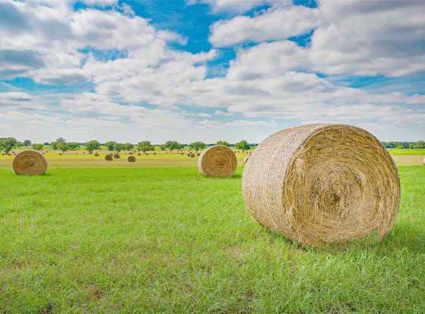 Orchard Road lot: 2 Tbd, Bowie, TX 76230