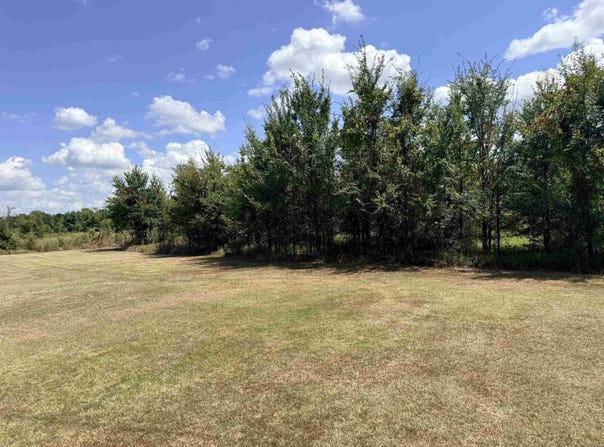 91 Burlison Ln, Humphrey, AR 72073