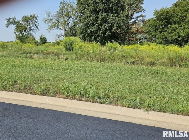 Kyle Court lot: 92, Metamora, IL 61548