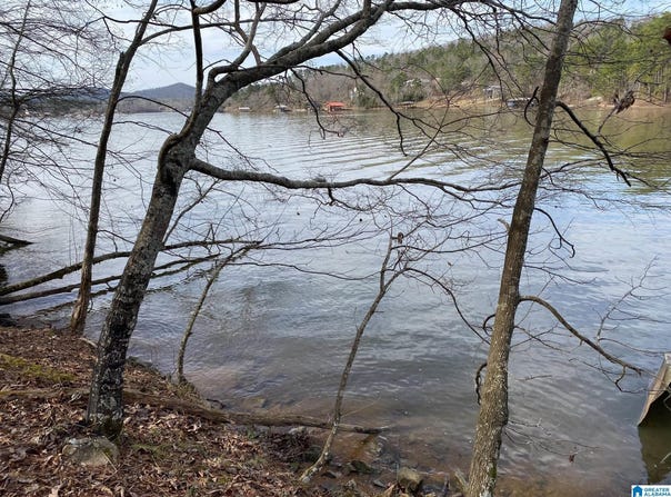 MOHAWK CLIFF ROAD lot: 5, OHATCHEE, AL 36271