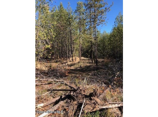 NKA Flintlock Way, Blanchard, ID 83804
