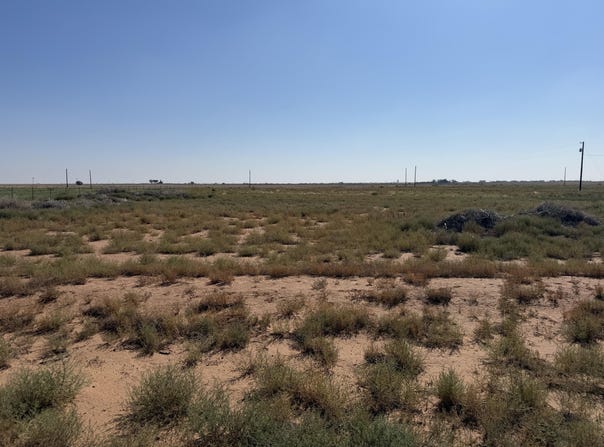 4049 Shannon Road, Ropesville, TX 79358