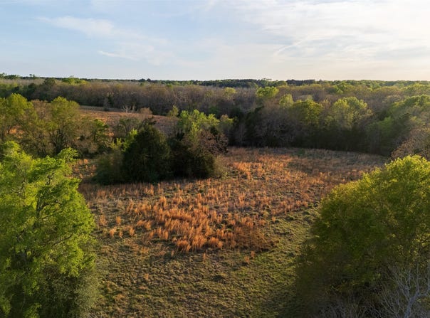 County Road 117, Elkhart, TX 75839