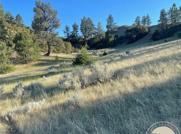Gribben Road, Custer, MT 59634
