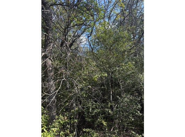 251 Iva Ln, Bastrop, TX 78602