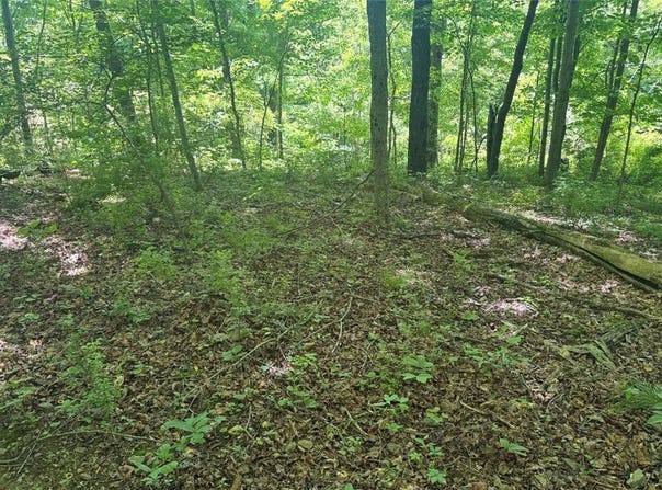 TR117-NR Woodside, Nicholson Twp, PA 15478