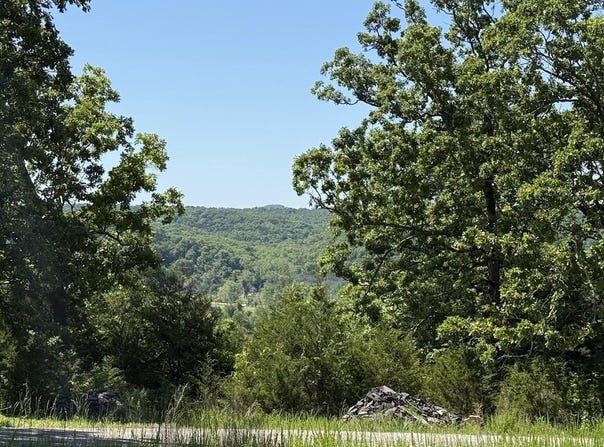 535 Skyline Drive, Forsyth, MO 65653